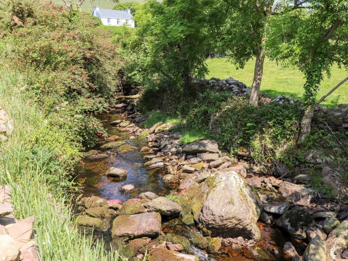 Lack Cottage Tralee Exteriör bild